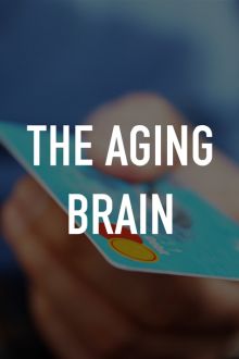 imagen: The Aging Brain