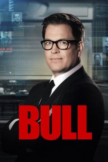 imagen: Bull
