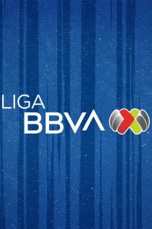 imagen: Fútbol Mexicano Primera División