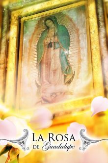 imagen: La rosa de Guadalupe