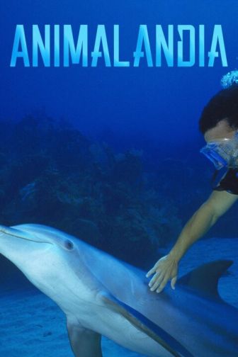 imagen: Animalandia