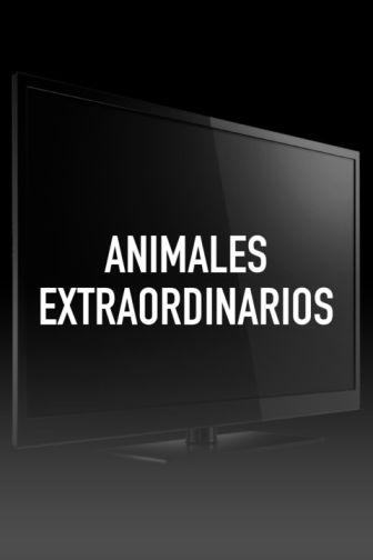 imagen: Animales Extraordinarios