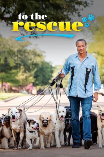 imagen: To the Rescue